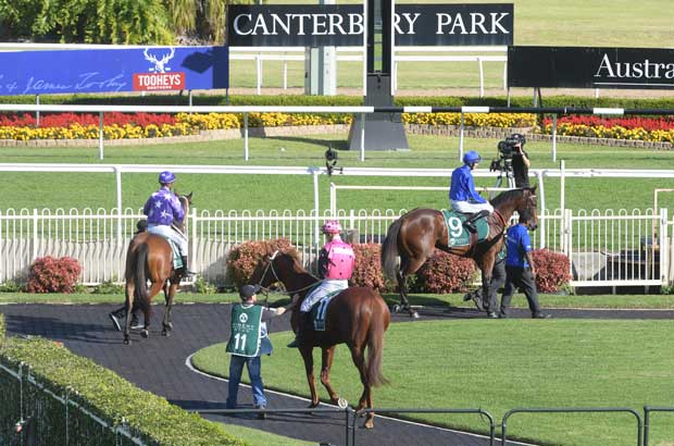 Canterbury Racecourse