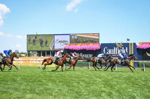 Caulfield Big Screen