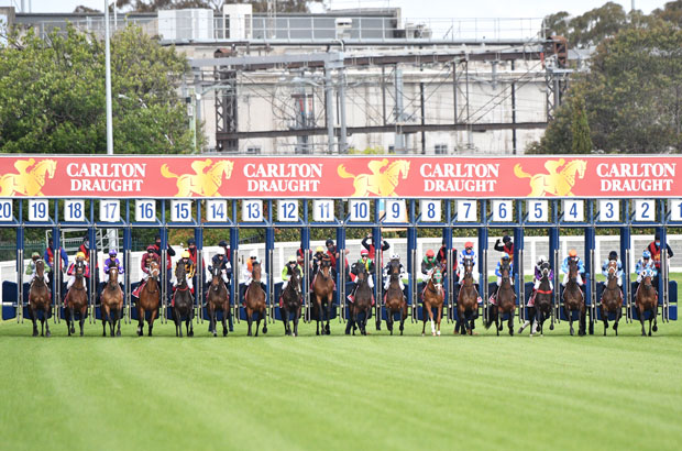 Caulfield Cup Barrier