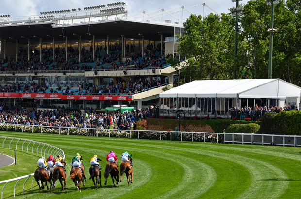 Cox Plate Moonee Valley