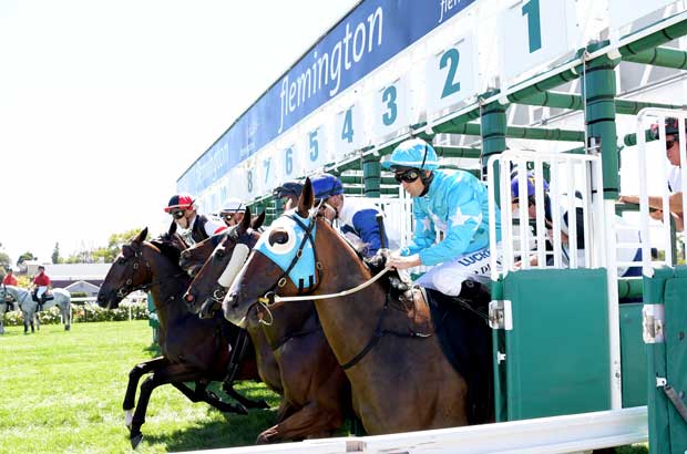 Flemington Barrier Jump