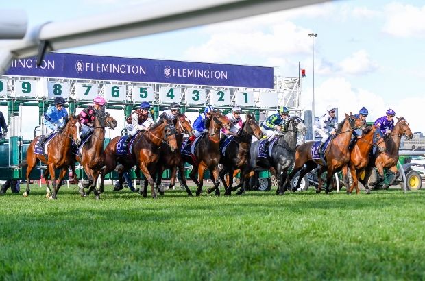 Flemington Barrier Jump3