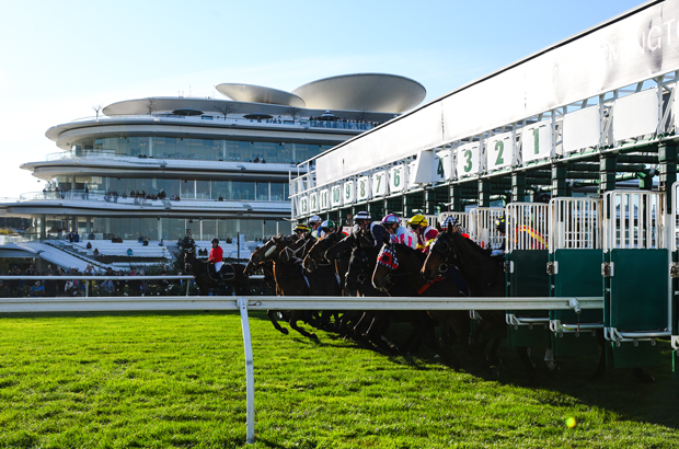 Flemington Barrier jump side