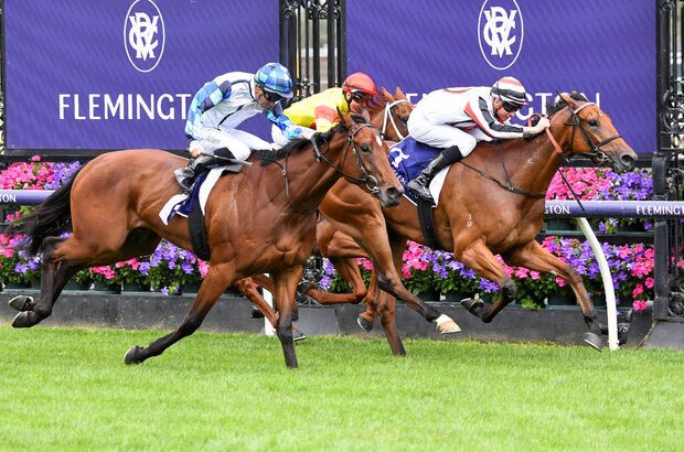 Flemington Finish Line