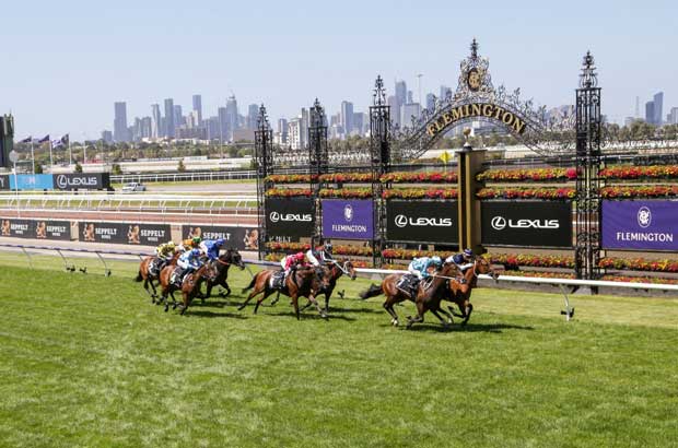 Flemington Finishing Post5