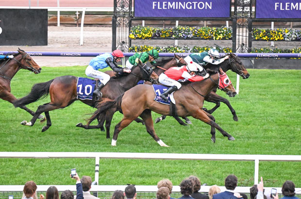 Flemington low shot