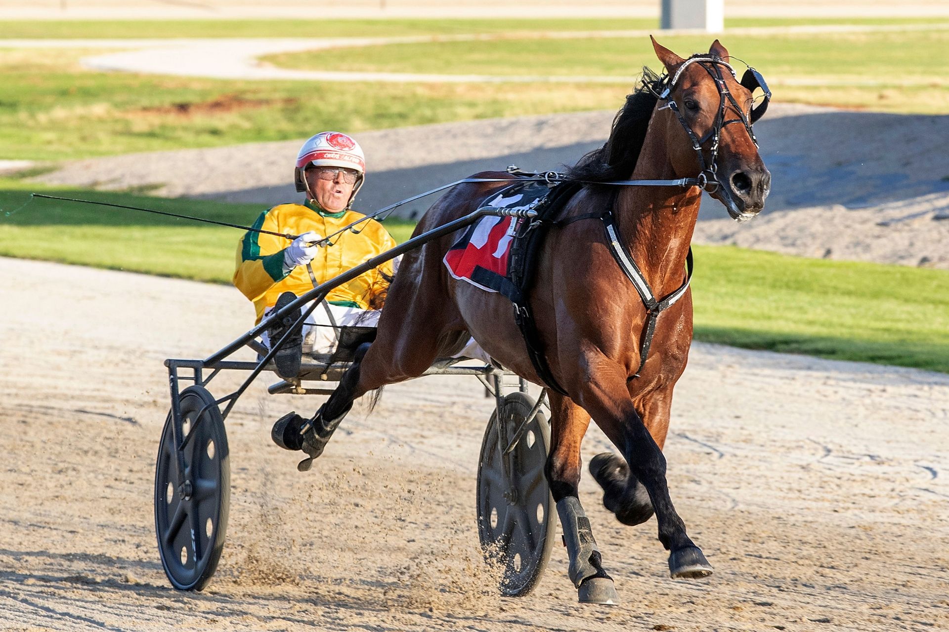 Harness Racing3