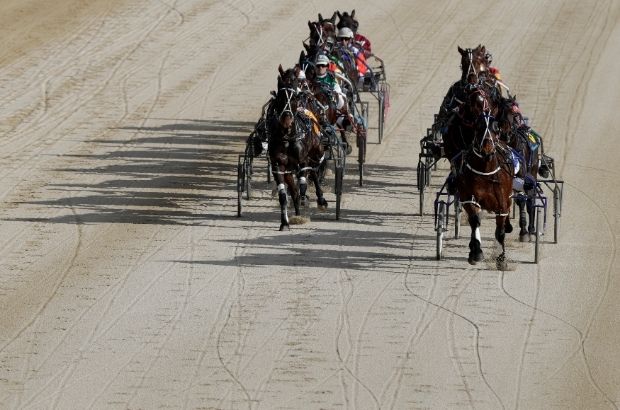 Harness Racing5