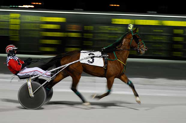 Harness Racing6