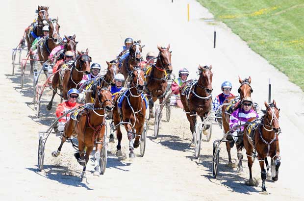 Harness Racing7