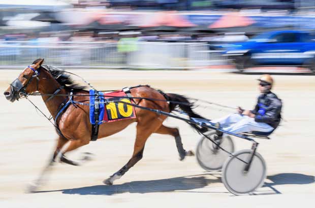 Harness Racing9