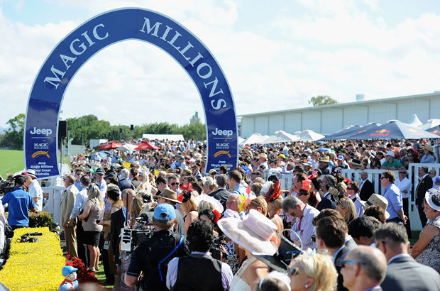 Magic Millions Crowd