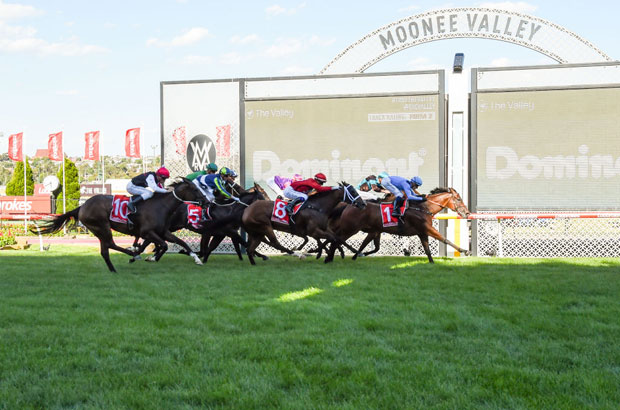 Moonee Valley Camera