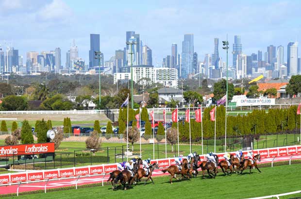 Moonee Valley CityView