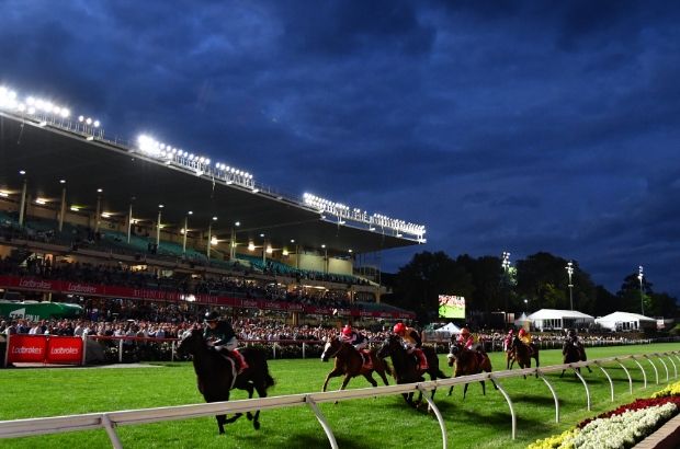 Moonee Valley Night