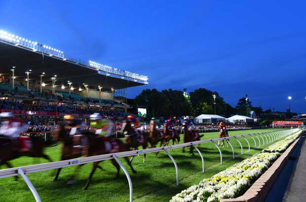 Moonee Valley Night2