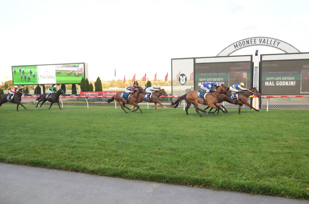 Moonee Valley Sign