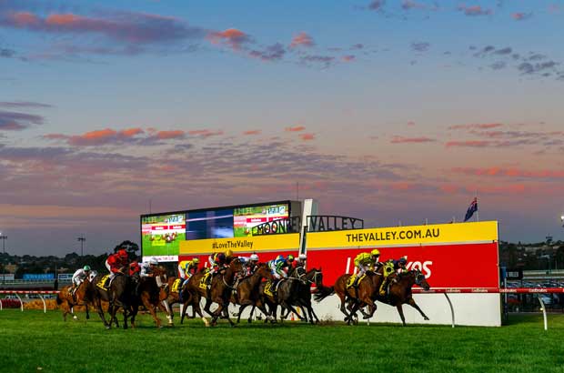 Moonee Valley Twilight