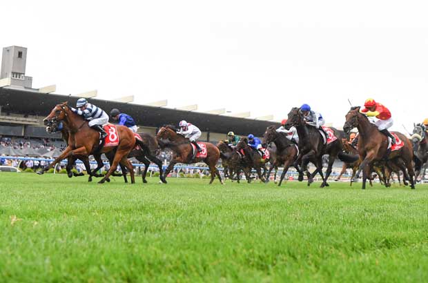 Oakleigh Plate 2023