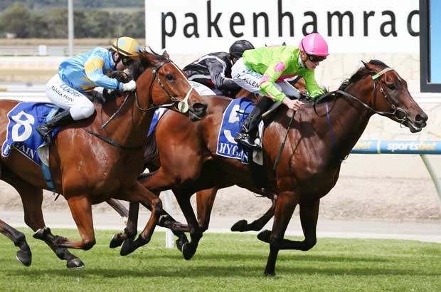 Pakenham Races