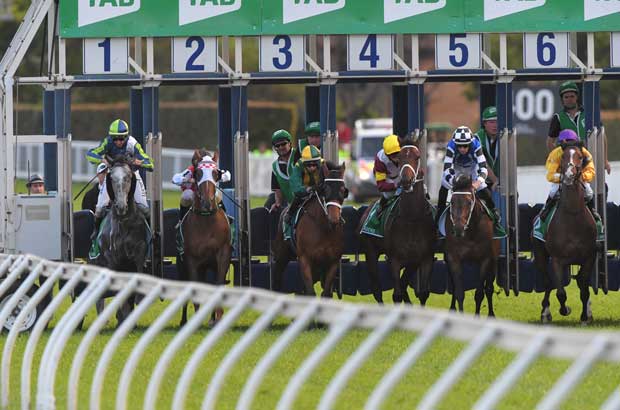 Randwick Barriers