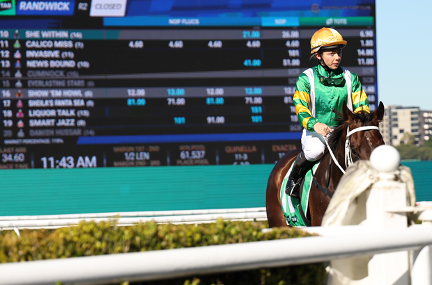 Randwick Big Board
