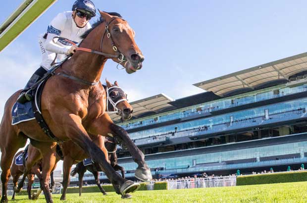 Randwick Finish Ground