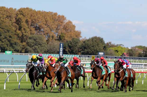 Randwick Grouped Horses