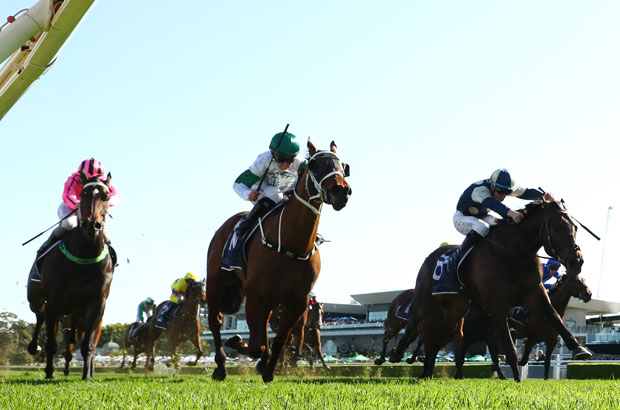 Randwick far grandstand