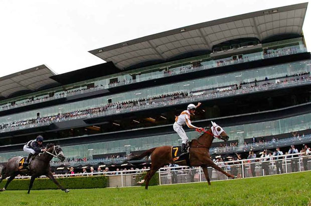 Randwick grandstand racetrack