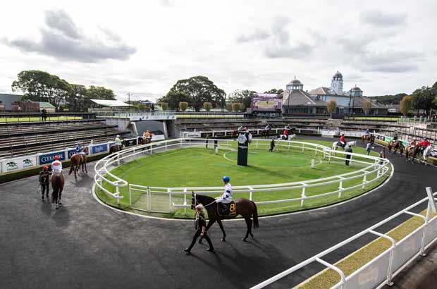 Randwick mounting yard