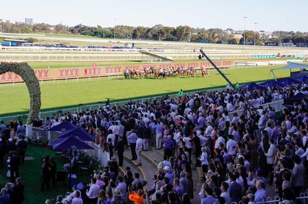 Rosehill CrowdedFinish