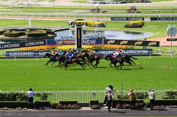 Rosehill Panoramic Finish