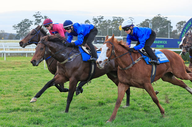 Warwick Farm PasPost