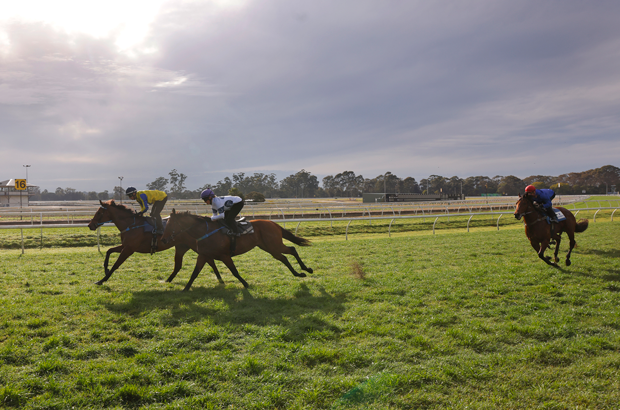 Warwick Farm side