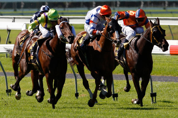 goodwood finish