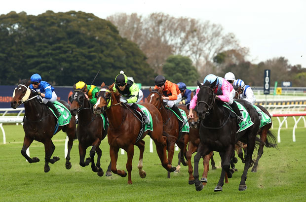 randwick closeup