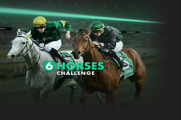 six horse challenge2