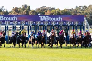 Ascot Barriers