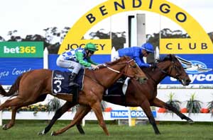 Bendigo Cup