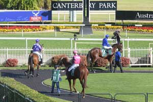 Canterbury Racecourse