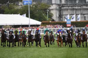 Caulfield Cup Field