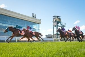 Caulfield Ground