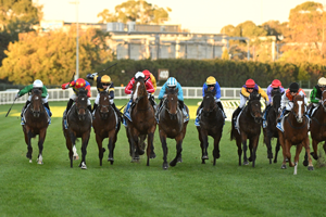 Caulfield straight on