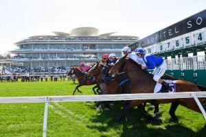 Flemington Barrier Jump2