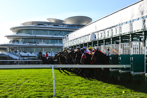 Flemington Barrier jump side
