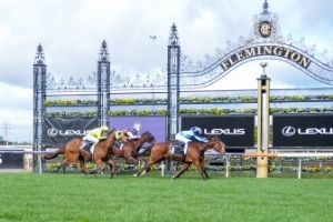 Flemington Finishing Post3