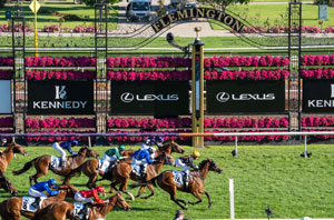 Flemington Finishing Post6