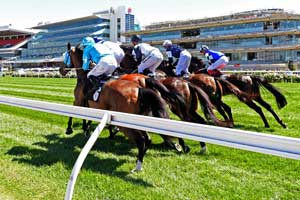 Flemington Horses Bunched