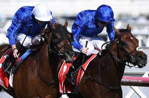 Godolphin Horses